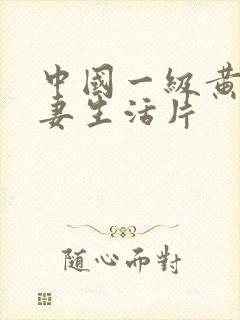 中国一级黄色夫妻生活片