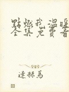 点燃我温暖你在全集免费看电视剧