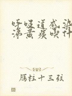 呼吸道感染黄鼻涕黄痰吃什么药好