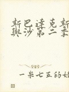 斯巴达克斯:血与沙第二季