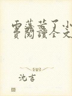 雨落若了小说免费阅读全文最新章节