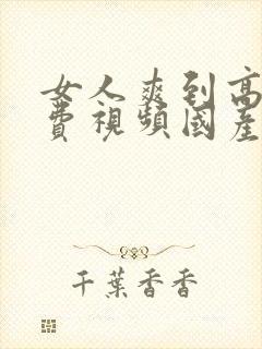 女人爽到高潮免费视频国产