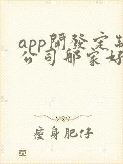 app开发定制公司那家好