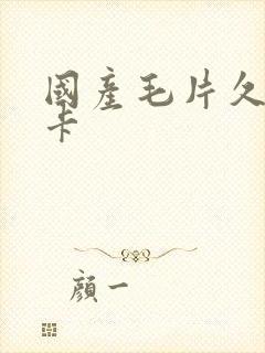 国产毛片久久不卡