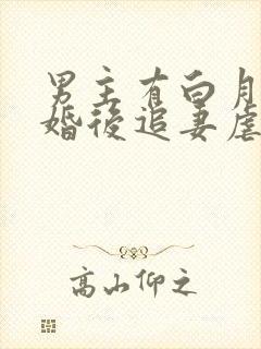 男主有白月光的婚后追妻虐文