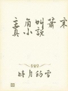 主角叫萧寒的修真小说