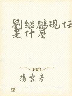 刘继鹏现任职务是什么