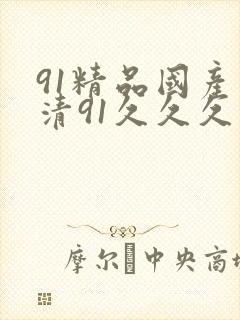 91精品国产高清91久久久久久