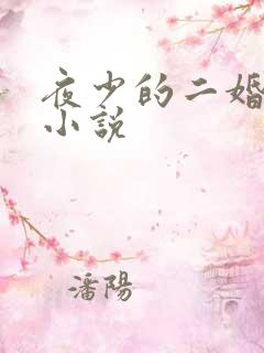 夜少的二婚新妻小说