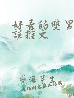 好看的双男主小说推文