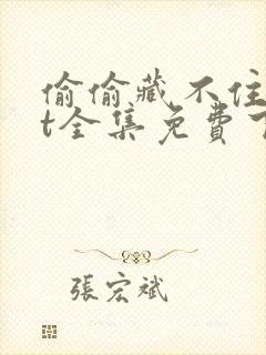 偷偷藏不住txt全集免费下载
