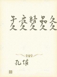 午夜精品久久久久久久久久久