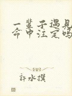 一辈子遇见谁是命中注定吗