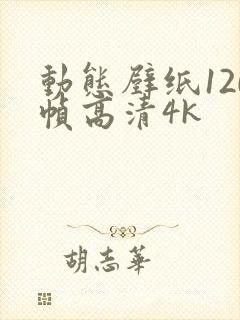 动态壁纸120帧高清4k