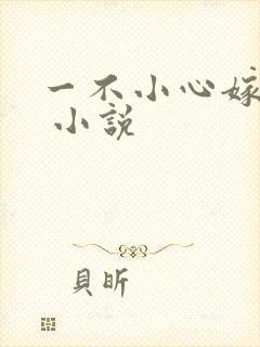 一不小心嫁总裁 小说