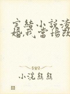 完结小说渣男逃婚,我当场改嫁了