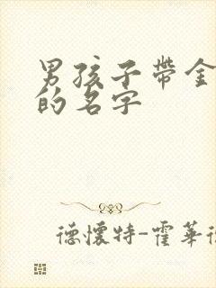 男孩子带金带土的名字