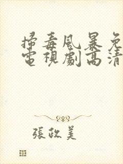 扫毒风暴免费版电视剧高清在线观看