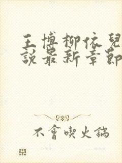 王博柳依儿的小说最新章节免费阅读