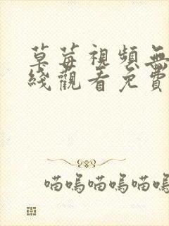 草莓视频无限在线观看免费高清