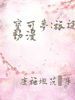 宝可梦:旅途 动漫