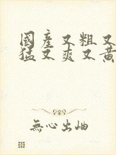 国产又粗又长又猛又爽又黄的视频