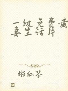 一级免费黄色夫妻生活片