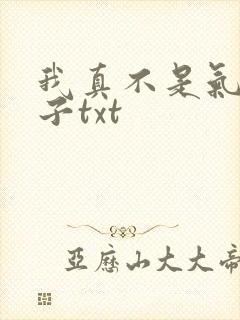 我真不是气运之子txt