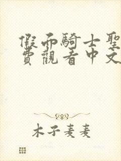 假面骑士圣刃免费观看中文