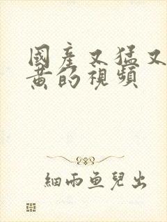 国产又猛又爽又黄的视频