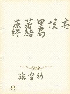 原著里侯亮平最终结局