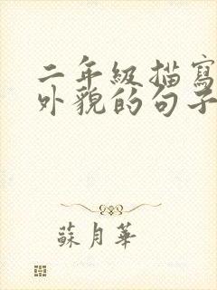 二年级描写人物外貌的句子