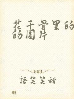 花千骨里的糖宝的图片