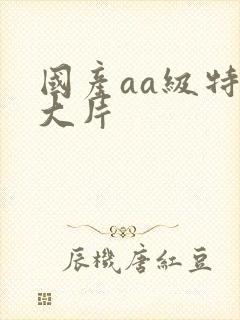 国产aa级特黄大片