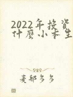 2022年投资什么小本生意好