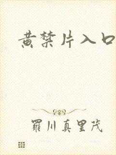 黄禁片入口