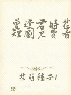 曾逢君时花照眼短剧免费看