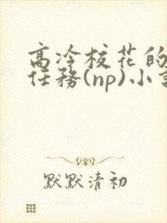 高冷校花的羞耻任务(np)小说无弹窗