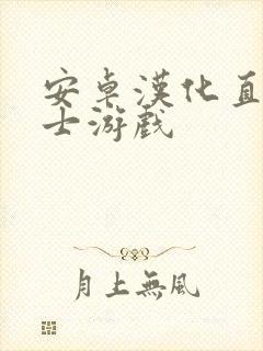 安卓汉化直装绅士游戏