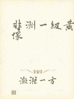 非洲一级黄色录像