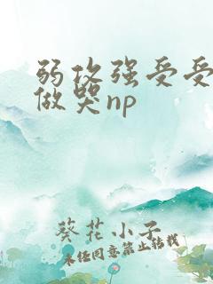 弱攻强受受把攻做哭np