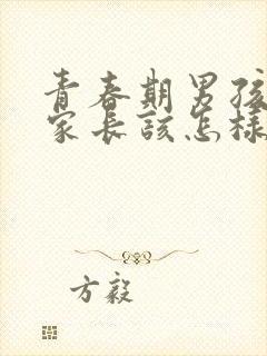 青春期男孩叛逆家长该怎样做