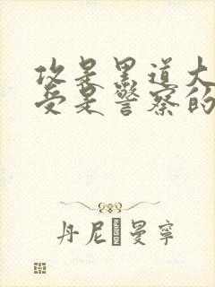 攻是黑道大佬,受是警察的小说