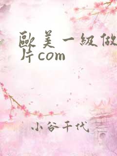 欧美一级做a爰片com