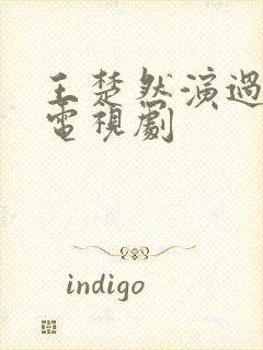 王楚然演过哪些电视剧