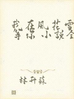 我在风花雪月里等你 小说全文免费阅读全文