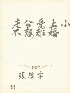 老公爱上小三我不想离婚