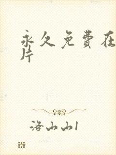 永久免费在线毛片