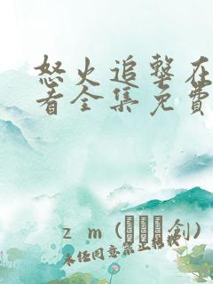 怒火追击在线观看全集免费高清电影下载