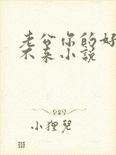 老公你的好大进不来小说